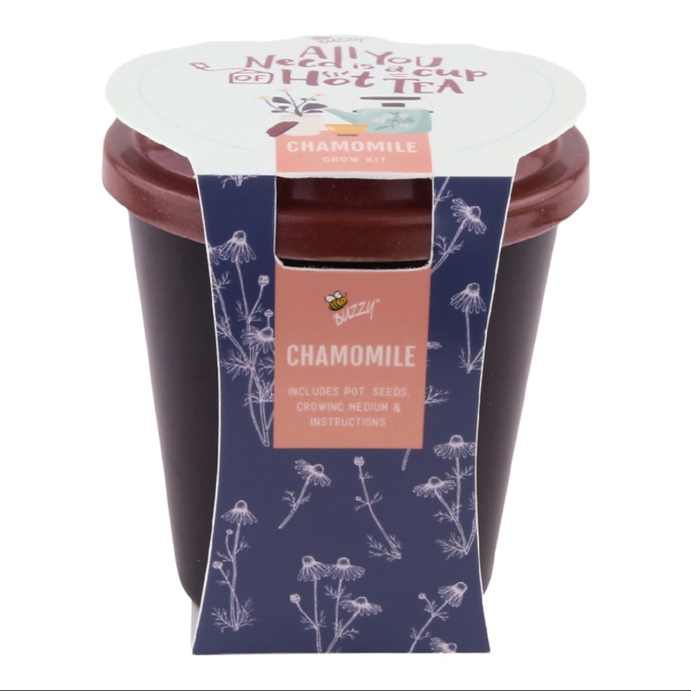 Buzzy Seeds Chamomile Tea Complete Grow Kit with Bamboo Fiber Pot NWT